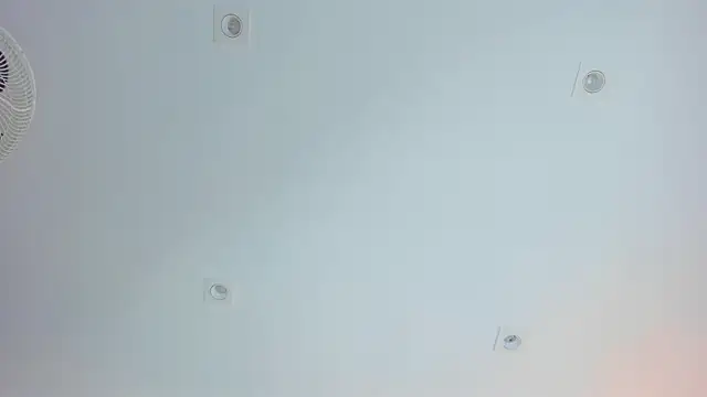 Salomethompson- webcam