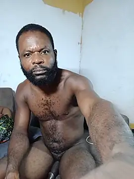 amkaybos webcam