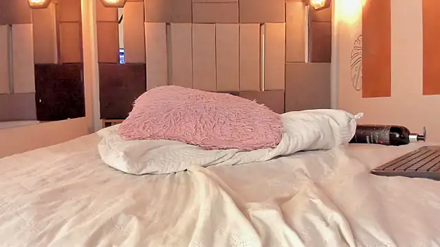 FreyrStone webcam