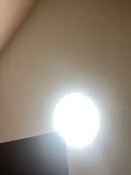 Michelle_ec webcam