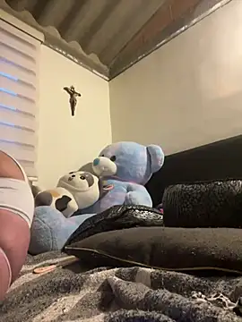 AliceSL webcam