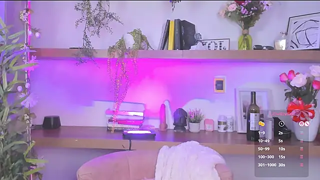 _Lorraine_v webcam