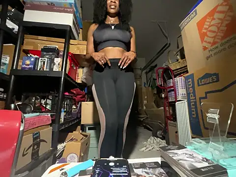 wynterheat webcam