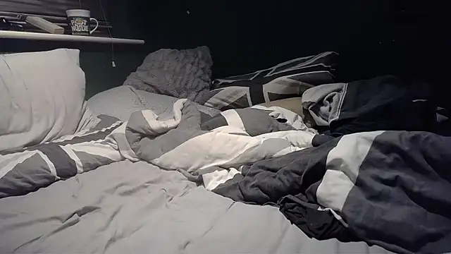 Chubbydan webcam