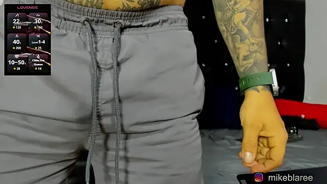 mikeblaree webcam