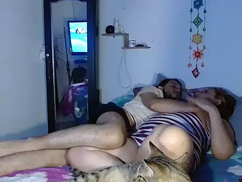 curvivan webcam