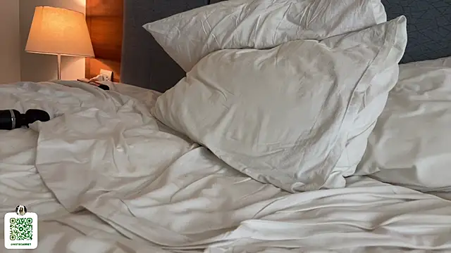 notecarret webcam