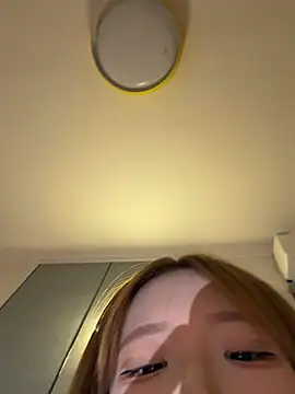linlian3 webcam