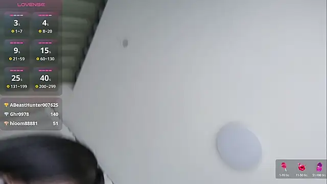 -Yuko- webcam