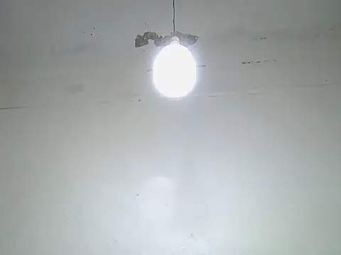 cockdory webcam