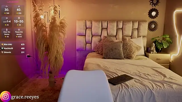 Silvermistt webcam