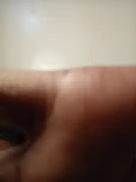 xoxopettitelue webcam