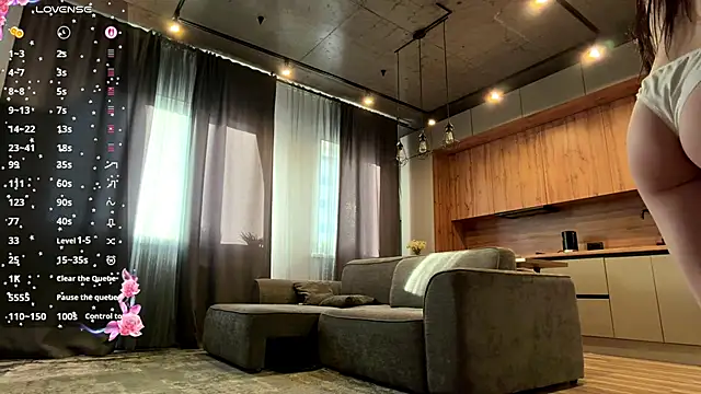 dewmelt webcam