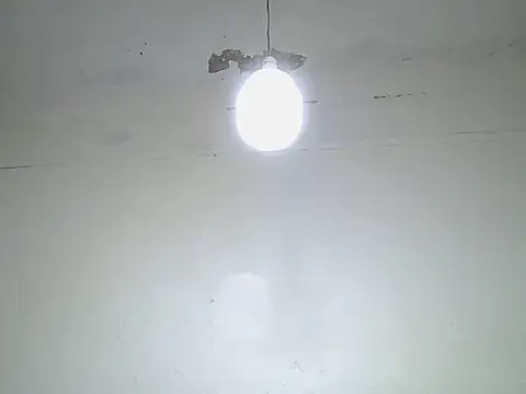 cockdory webcam