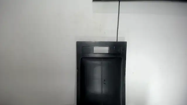 Fox_Loves webcam