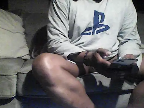 perlados webcam