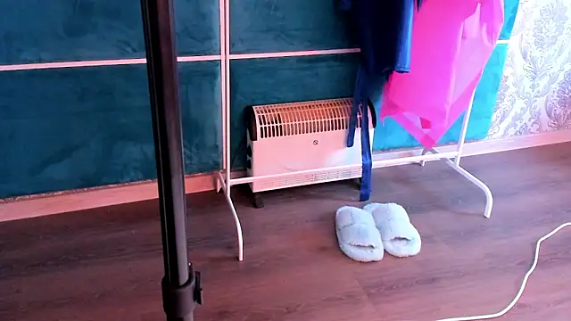 LeiaCrane webcam