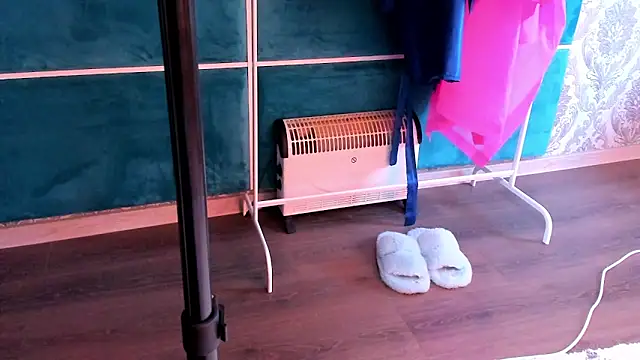 LeiaCrane webcam