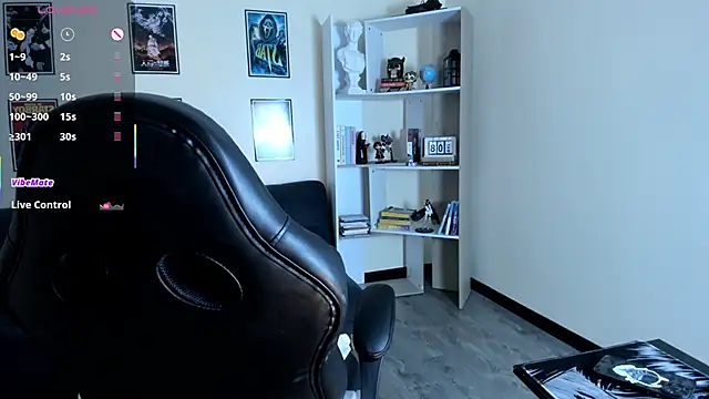 Ravenelle_ webcam