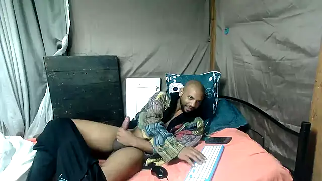 Camodick webcam