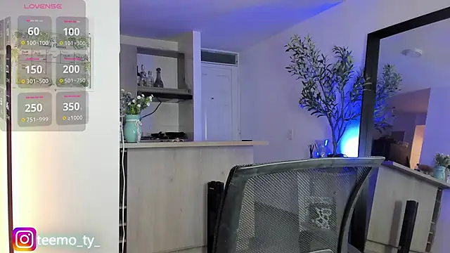 teemotwink webcam