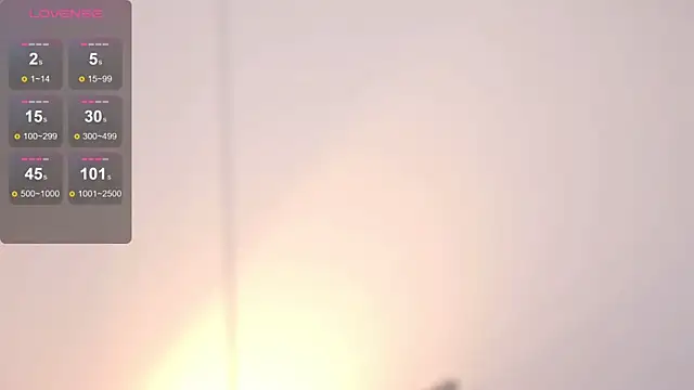 ElaraShine webcam