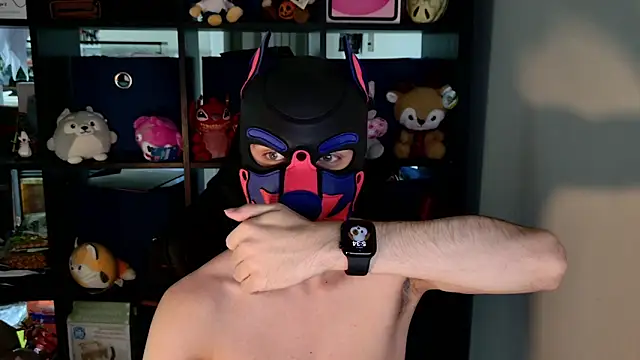 MellPUP webcam