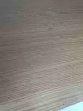LL-001 webcam