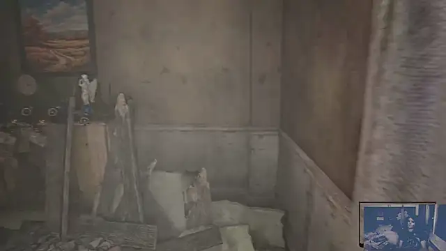 Rocker_Assassin_WASP_FAN webcam