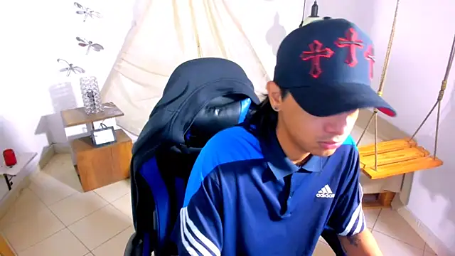 Brand_habes webcam