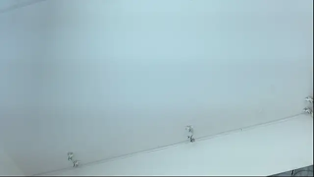 ladymooncs webcam