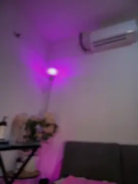 SheenaBrooke webcam