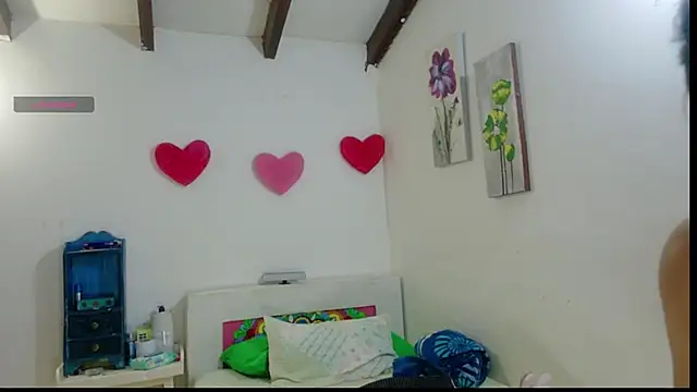 hottplay webcam