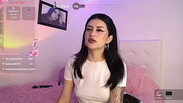 arye_lle webcam