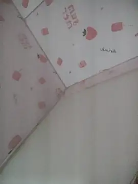 Kajisu_26 webcam