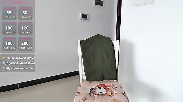KK-328 webcam