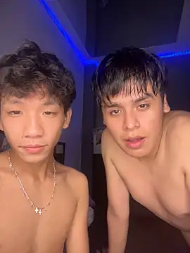 Kailertwink webcam