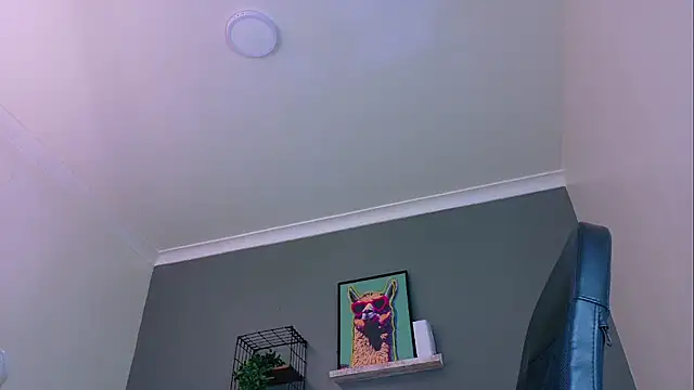 MrFox__ webcam