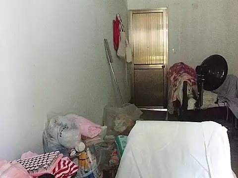 RebelAura webcam