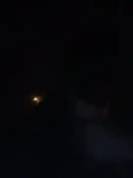 SpritzedFestoon webcam