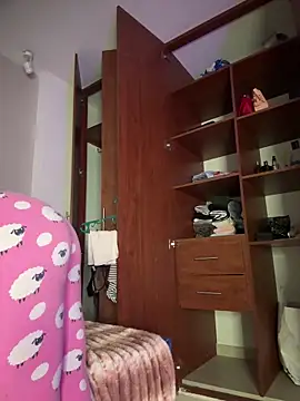 AkiraY10 webcam