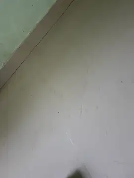 Chennaifunlove96 webcam