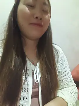 he-se-kin webcam