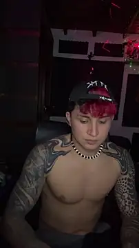 dylan_wels webcam
