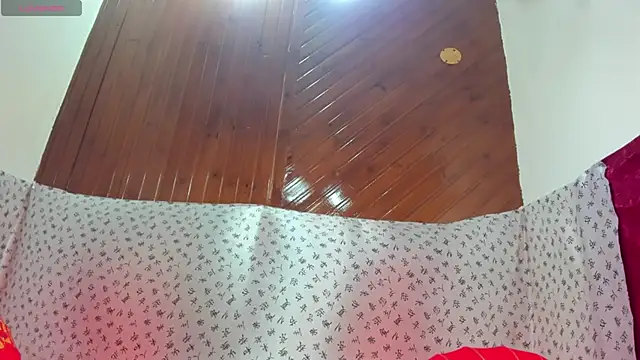 Aurora_Gatty webcam