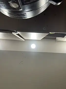 lunablossom_ webcam