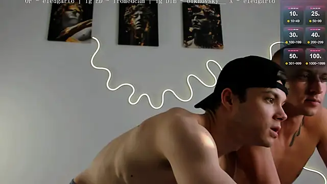 fromed webcam