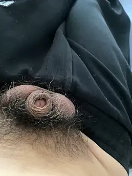 hairylittledic