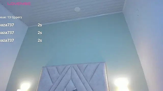 nova_silk webcam