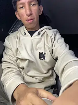 Noah-fire webcam